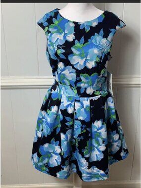 Emerald Sundae XL Juniors Fit And Flair Spring Summer Dress NWT New